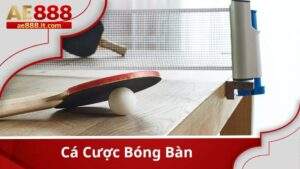Cá Cược Bóng Bàn – Khám Phá Các Kèo Cược Hấp Dẫn Tại Thể Thao AE888
