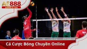 Cá Cược Bóng Chuyền Online – Siêu Phẩm Hấp Dẫn Tại Thể Thao AE888